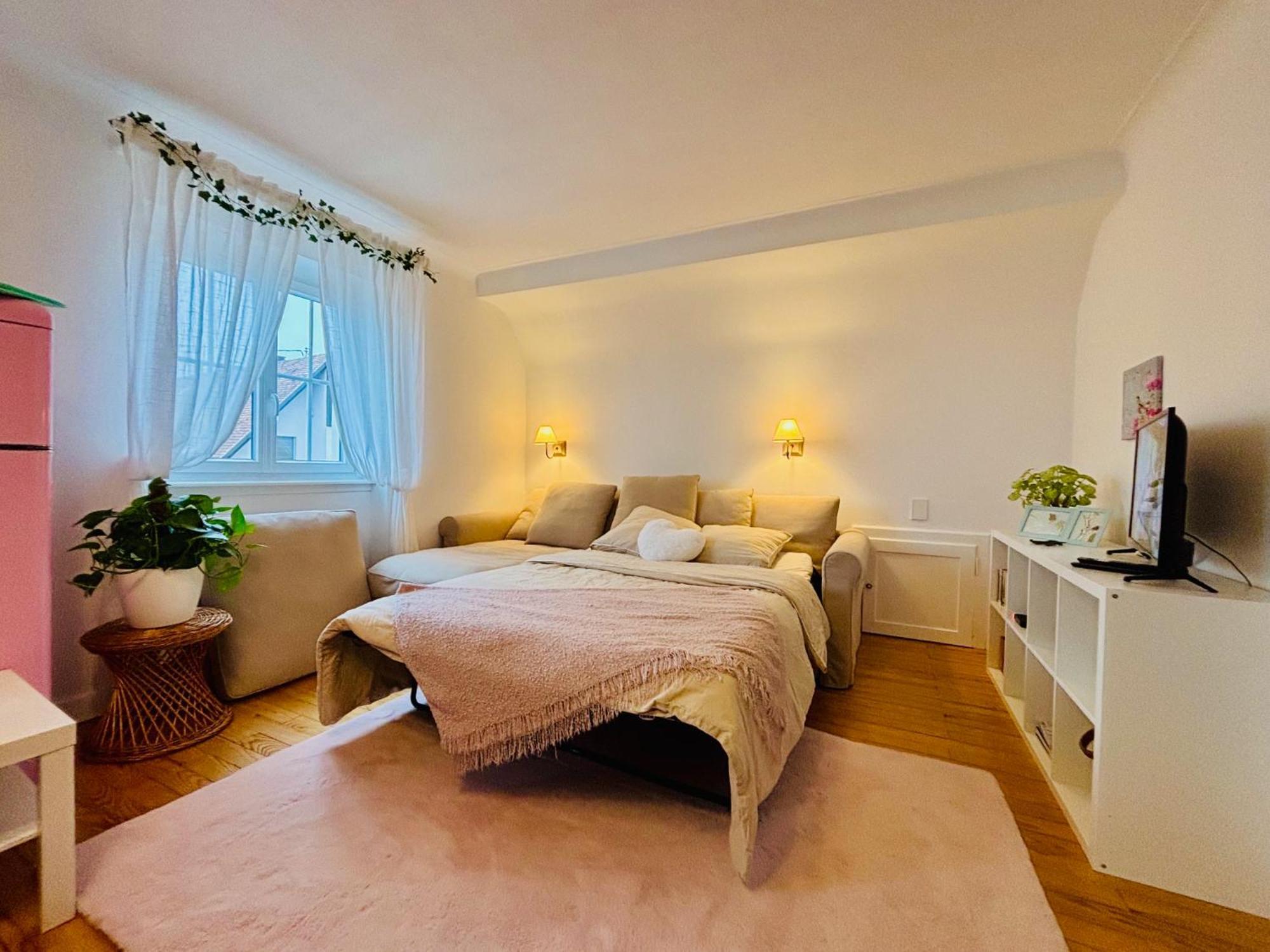 Villa Camelias, Appartements De Charme ميتيلوير المظهر الخارجي الصورة