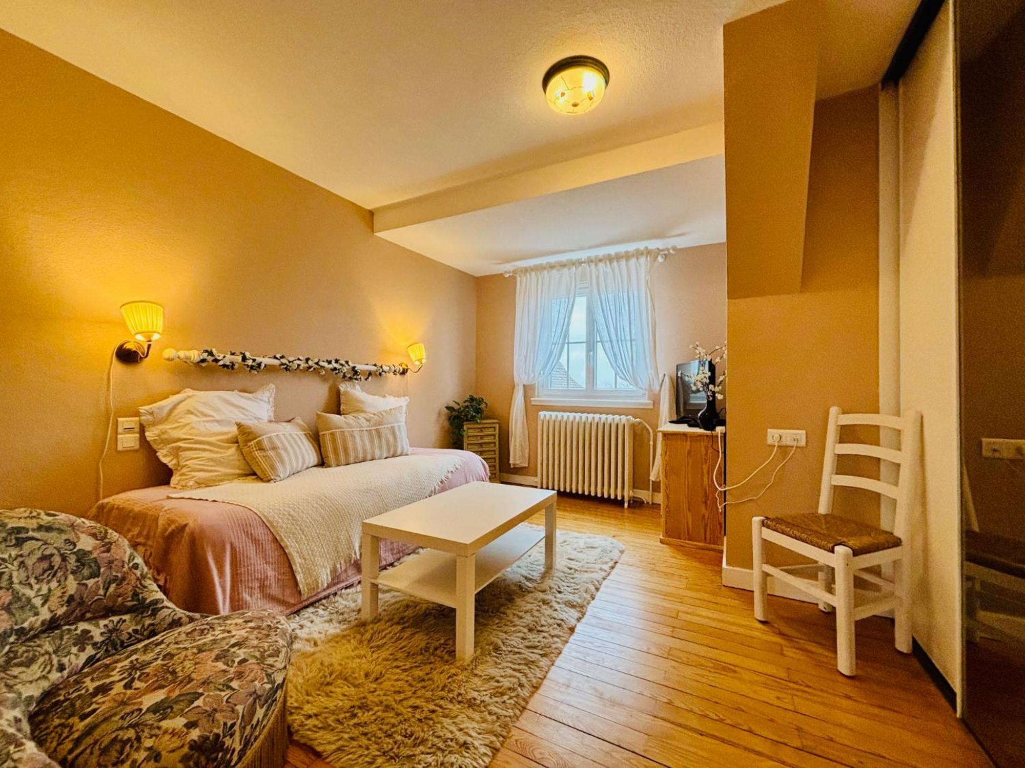 Villa Camelias, Appartements De Charme ميتيلوير المظهر الخارجي الصورة